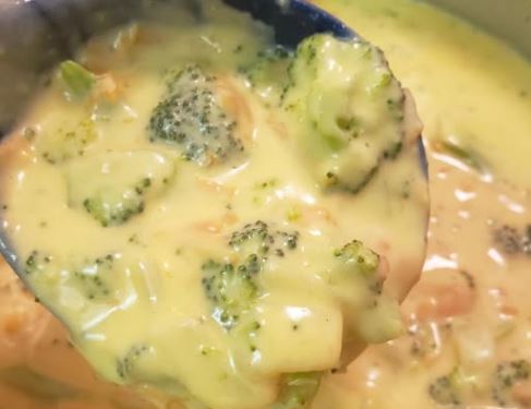 Wawa Broccoli Cheddar Soup